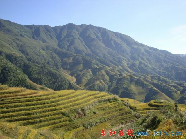 С DSC08436.JPG
