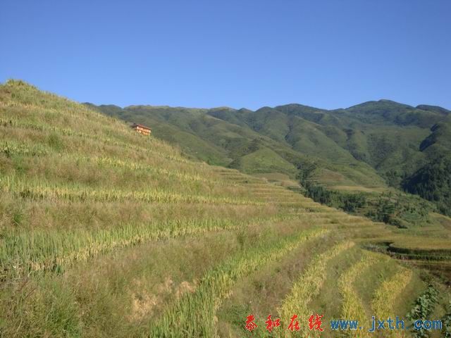 С DSC08438.JPG