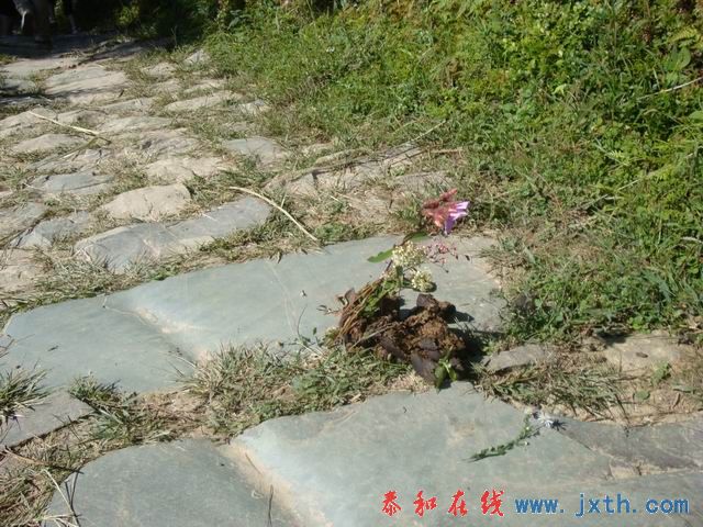 С DSC08484.JPG