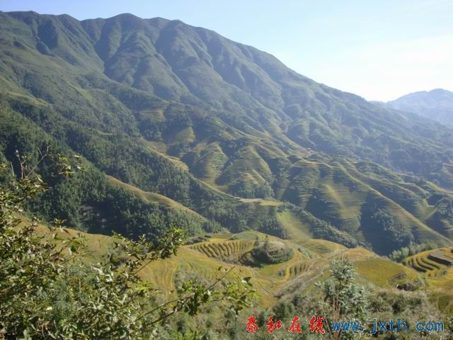 С DSC08444.JPG