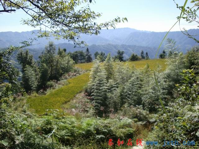 С DSC08485.JPG