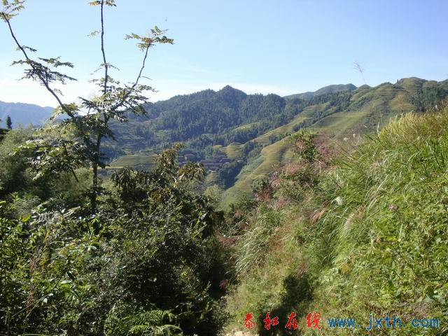 С DSC08487.JPG