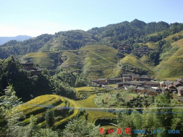 С DSC08495.JPG