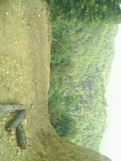 IMG0163A.jpg