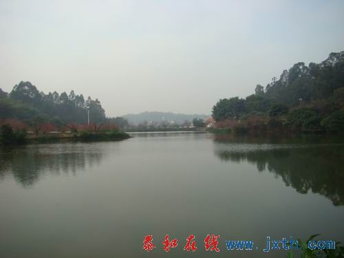 ԴֻھУӰ岨ʮ.jpg