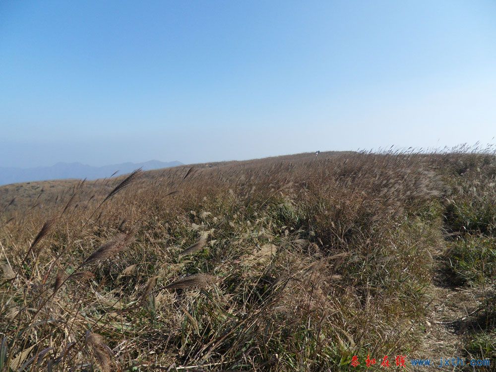 SDC15566.jpg
