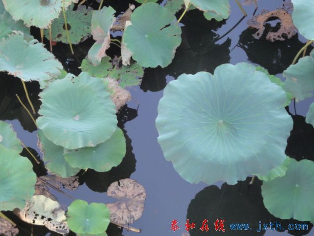 DSC02212.JPG