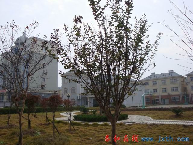 С DSC08728.JPG