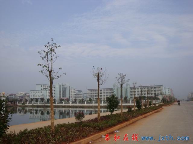 С DSC08738.JPG