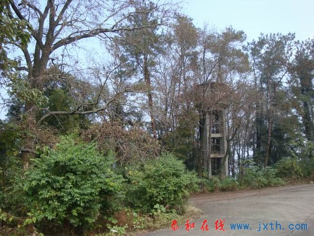 С DSC08765.JPG