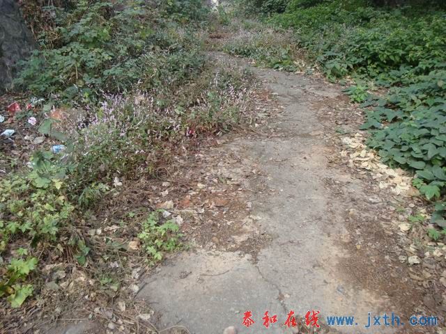С DSC08780.JPG