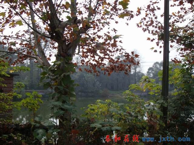 С DSC08796.JPG