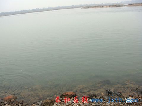 DSC01576X.jpg