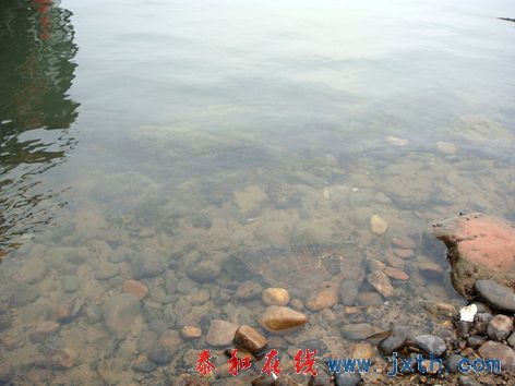 DSC01609X.jpg