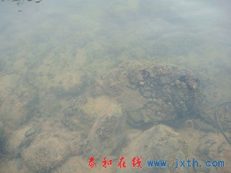 DSC01613x.jpg