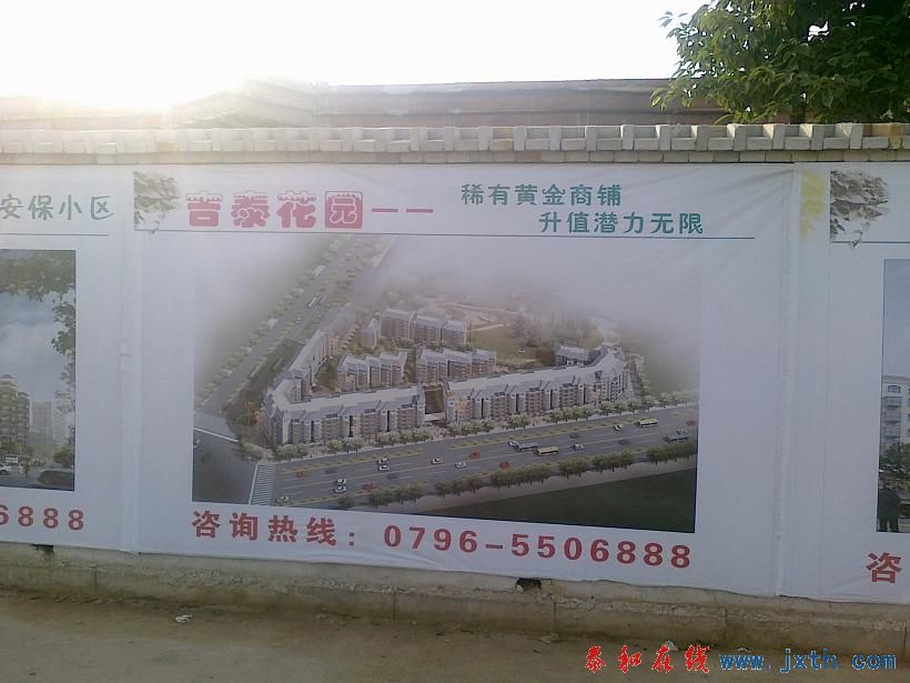 20101123267.jpg