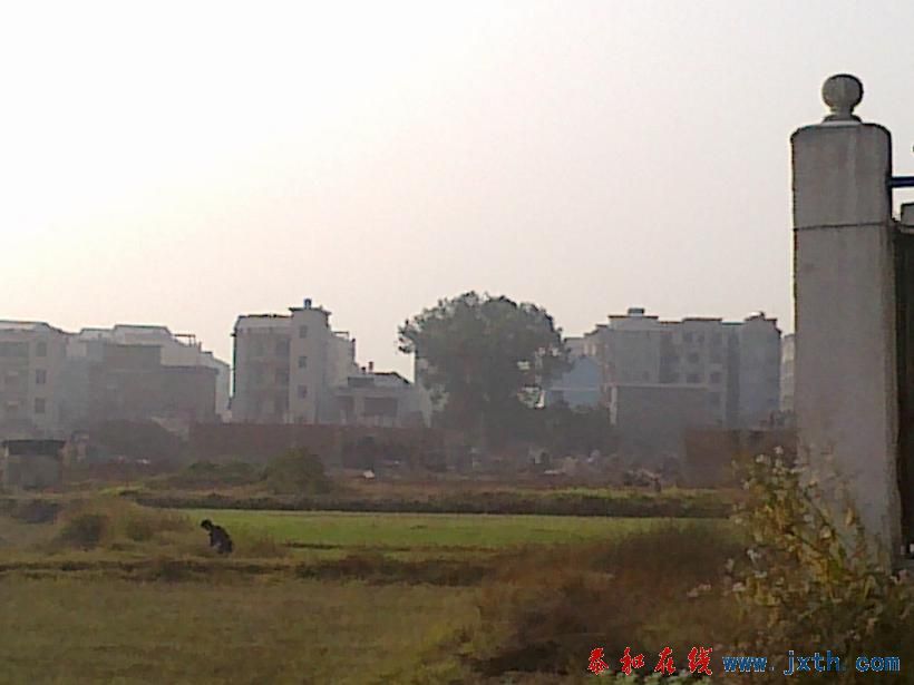 20101123262.jpg