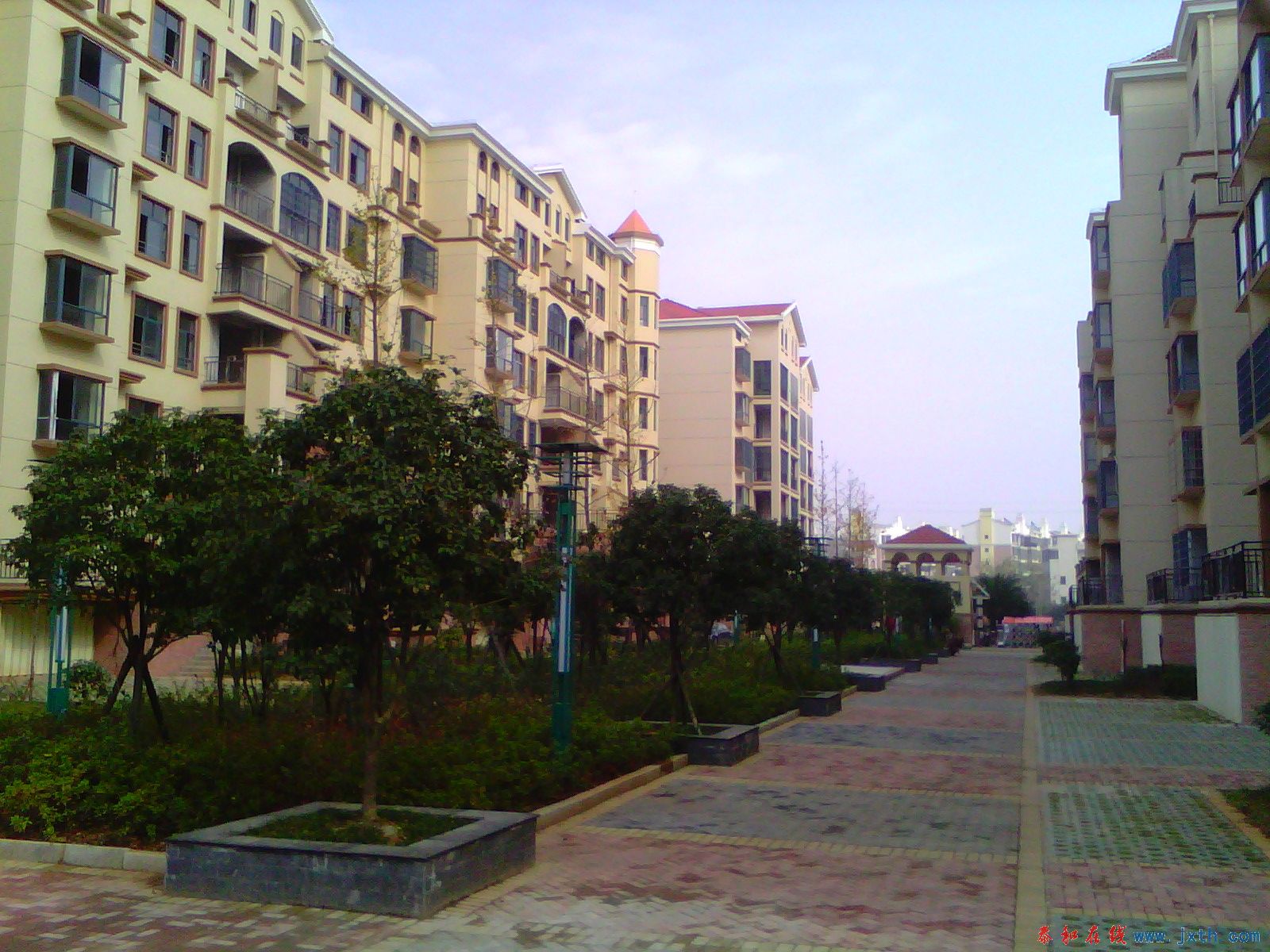 image20101126_132518.jpg