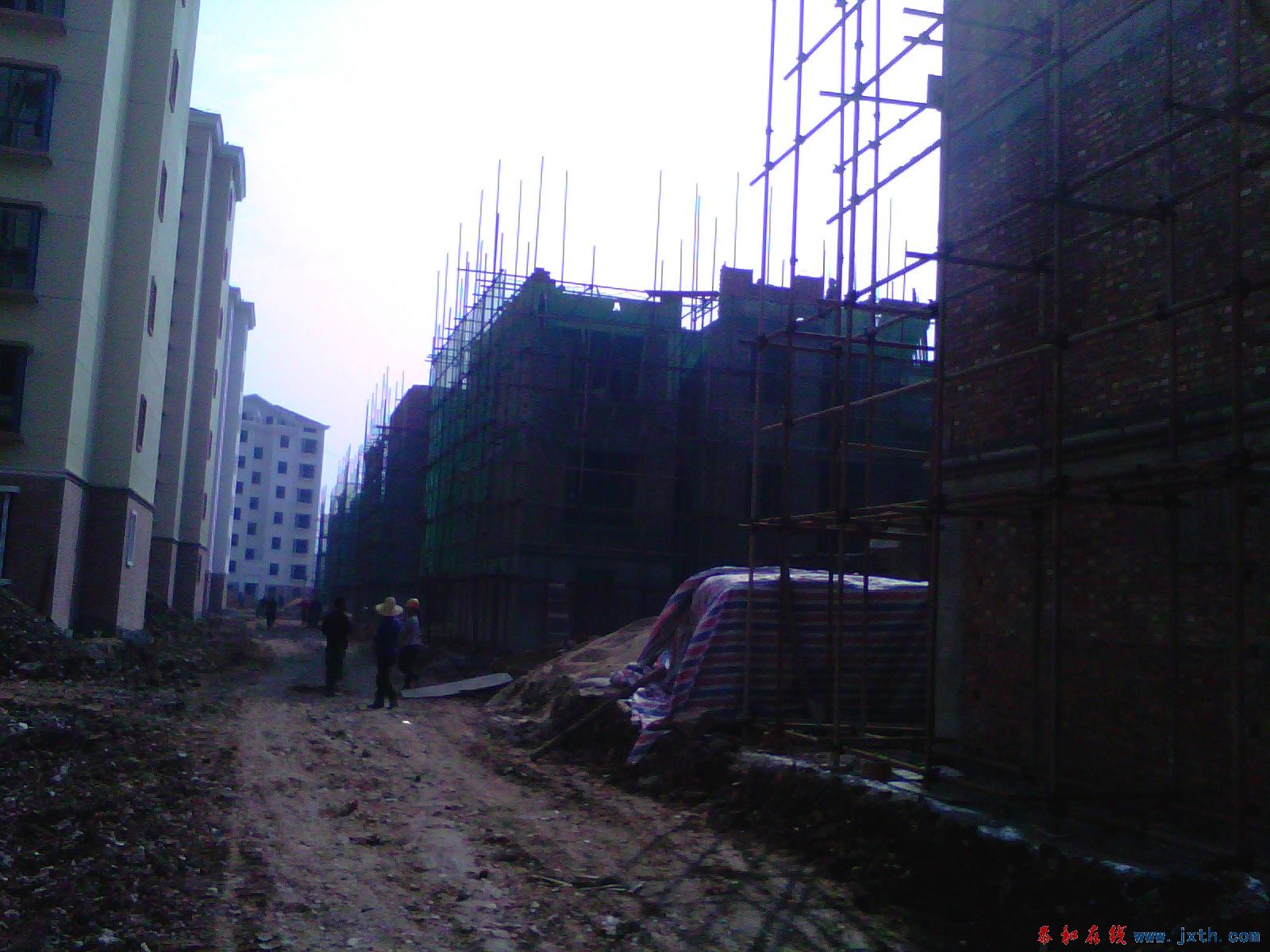 image20101126_131323.jpg