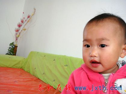 DSC01560Xx.jpg