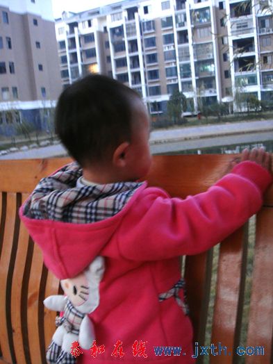 DSC01528xx.jpg