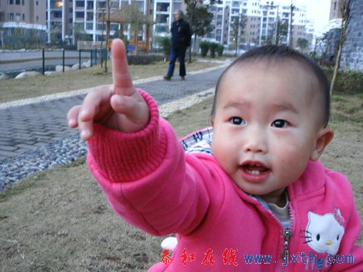 DSC01517xx.jpg