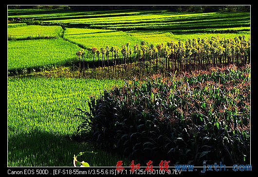nEO_IMG_IMG_0175.jpg