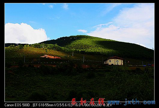 nEO_IMG_IMG_0736.jpg