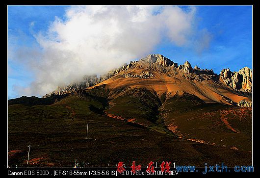 nEO_IMG_IMG_0981.jpg