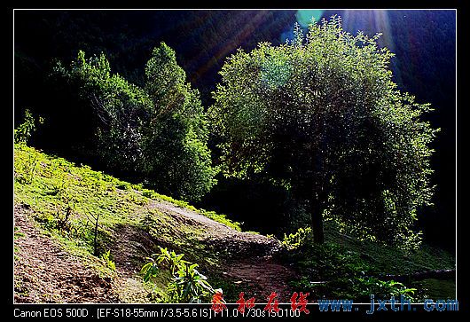 nEO_IMG_IMG_1032.jpg