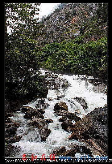 nEO_IMG_IMG_1416.jpg