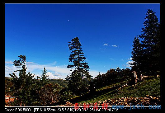 nEO_IMG_IMG_1612.jpg