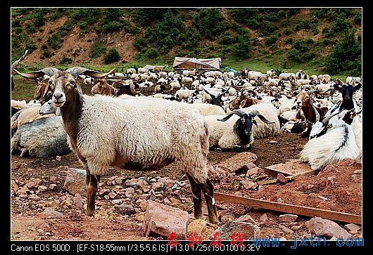 nEO_IMG_IMG_1736.jpg