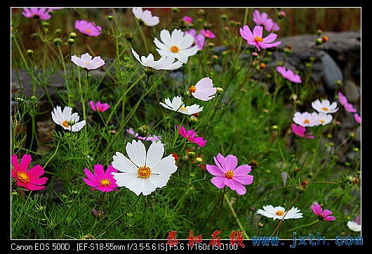 nEO_IMG_IMG_1822.jpg