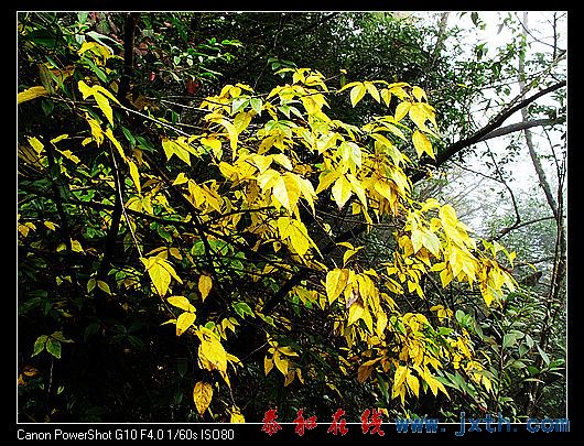 nEO_IMG_09ɫ书 052.jpg