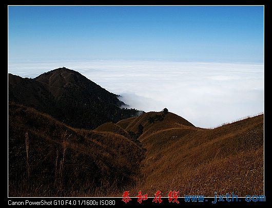 nEO_IMG_09ɫ书 191.jpg