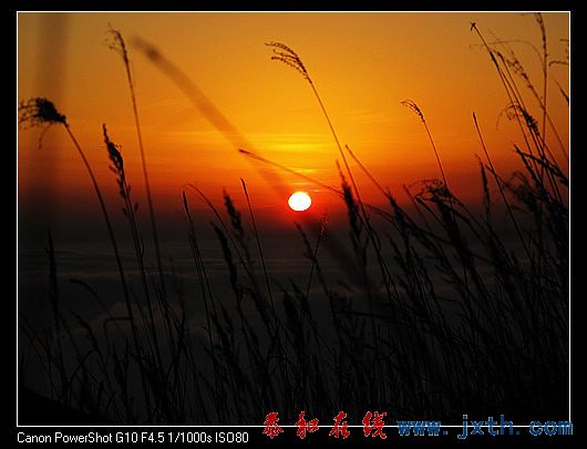 nEO_IMG_09ɫ书 306.jpg