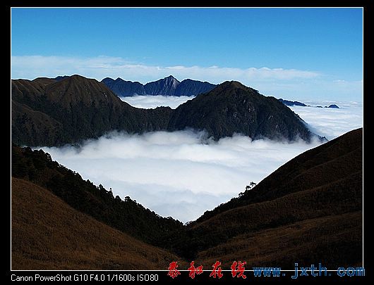 nEO_IMG_09ɫ书 468.jpg