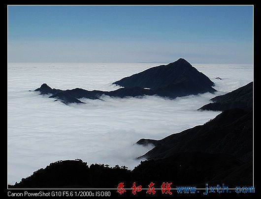 nEO_IMG_09ɫ书 490.jpg