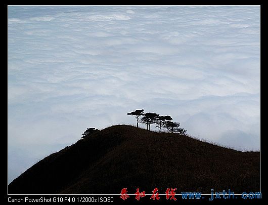 nEO_IMG_09ɫ书 542.jpg