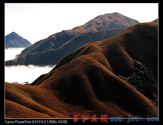 nEO_IMG_09ɫ书 570.jpg