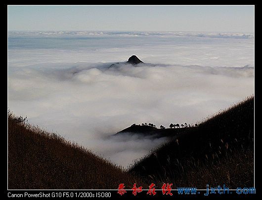 nEO_IMG_09ɫ书 589.jpg
