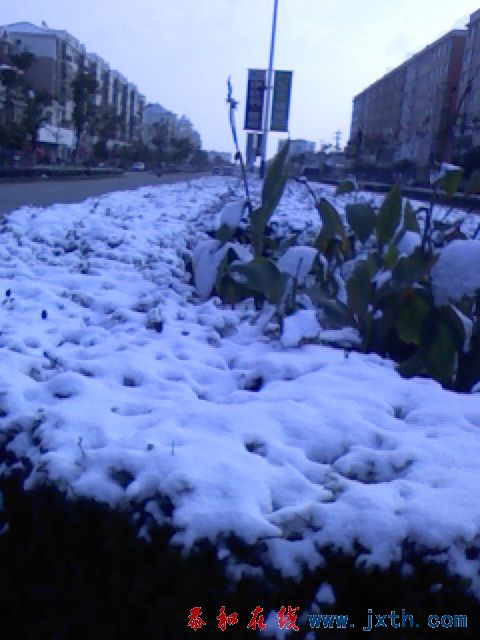 IMG1076A.jpg