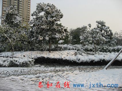 IMG_0673.jpg