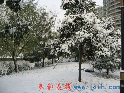 IMG_0675.jpg