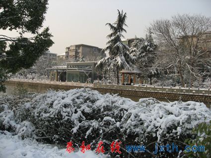 IMG_0680.jpg