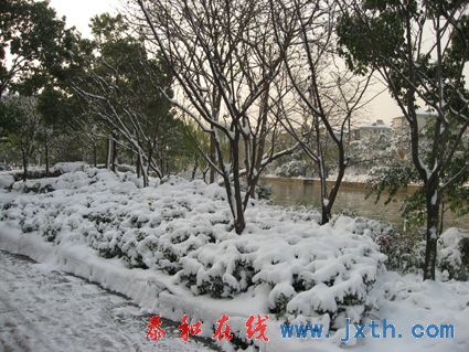 IMG_0685.jpg