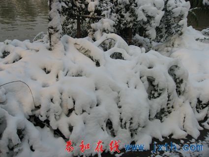 IMG_0642.jpg