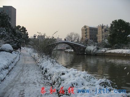 IMG_0648.jpg