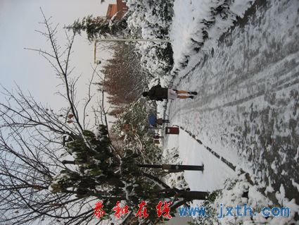 IMG_0649.jpg